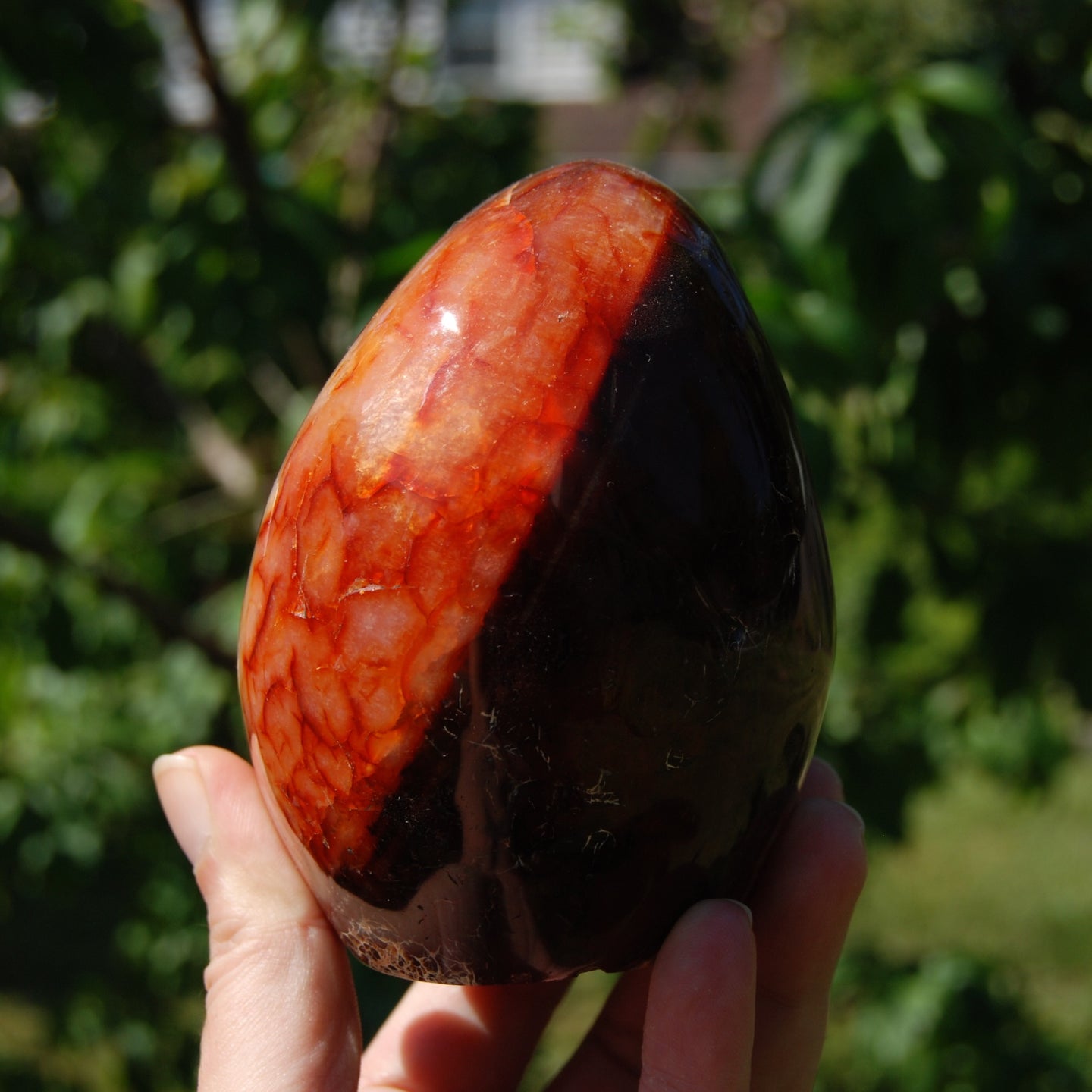 XL Red Carnelian Crystal Freeform Tower