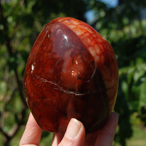 XL Red Carnelian Crystal Freeform Tower