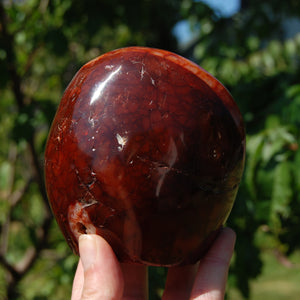 XL Red Carnelian Crystal Freeform Tower