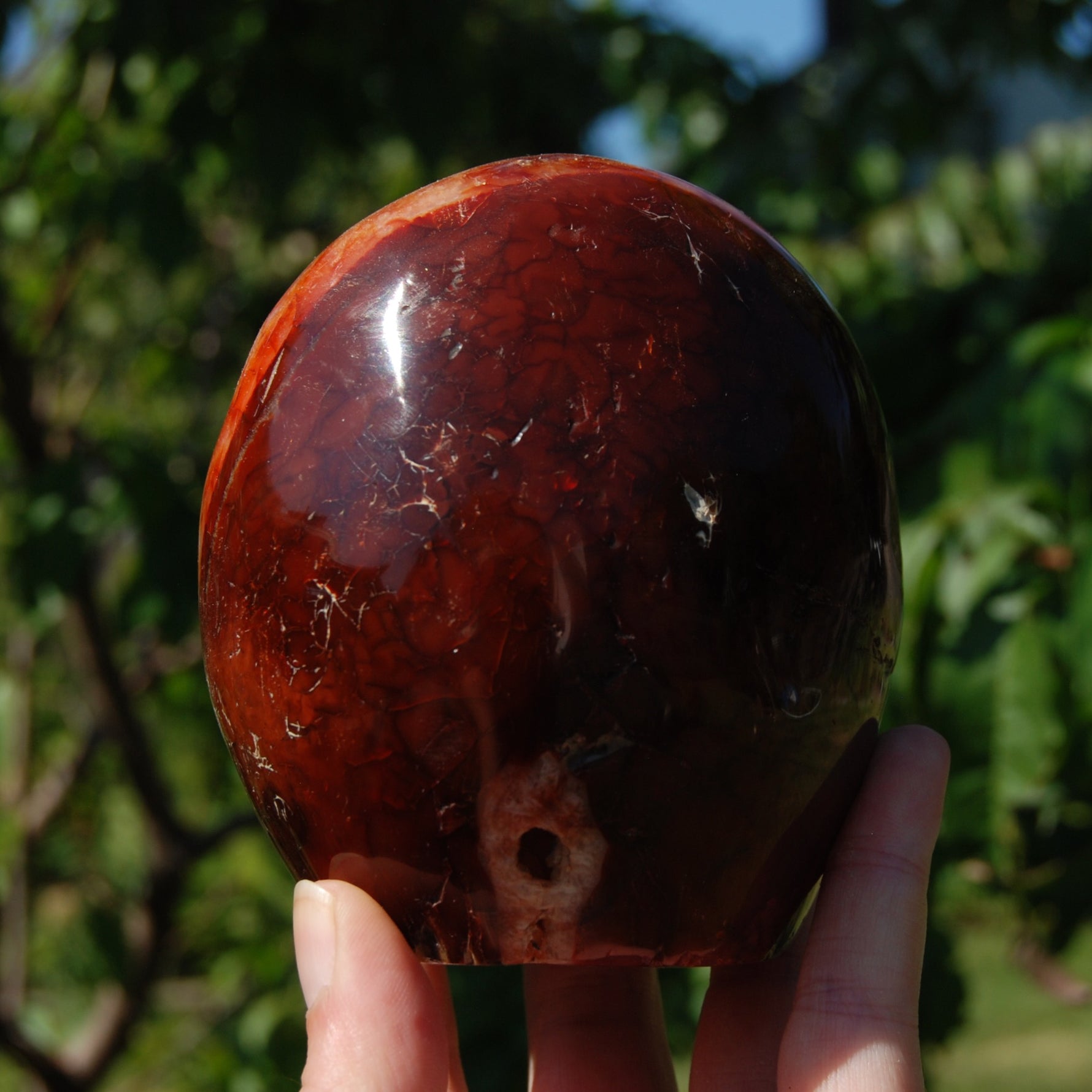 XL Red Carnelian Crystal Freeform Tower