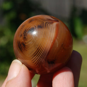 Red Sardonyx Banded Agate Crystal Sphere