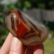 Load image into Gallery viewer, Sardonyx Banded Agate Crystal Palm Stone
