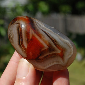 Sardonyx Banded Agate Crystal Palm Stone