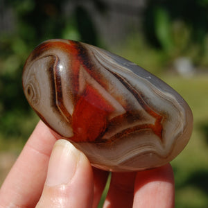 Sardonyx Banded Agate Crystal Palm Stone