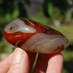 Sardonyx Banded Agate Crystal Palm Stone