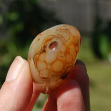 Load image into Gallery viewer, Sardonyx Banded Agate Crystal Palm Stone
