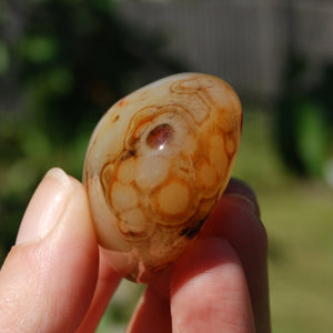 Sardonyx Banded Agate Crystal Palm Stone