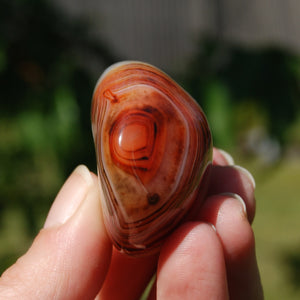 Sardonyx Banded Agate Crystal Palm Stone