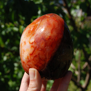 XL Red Carnelian Crystal Freeform Tower