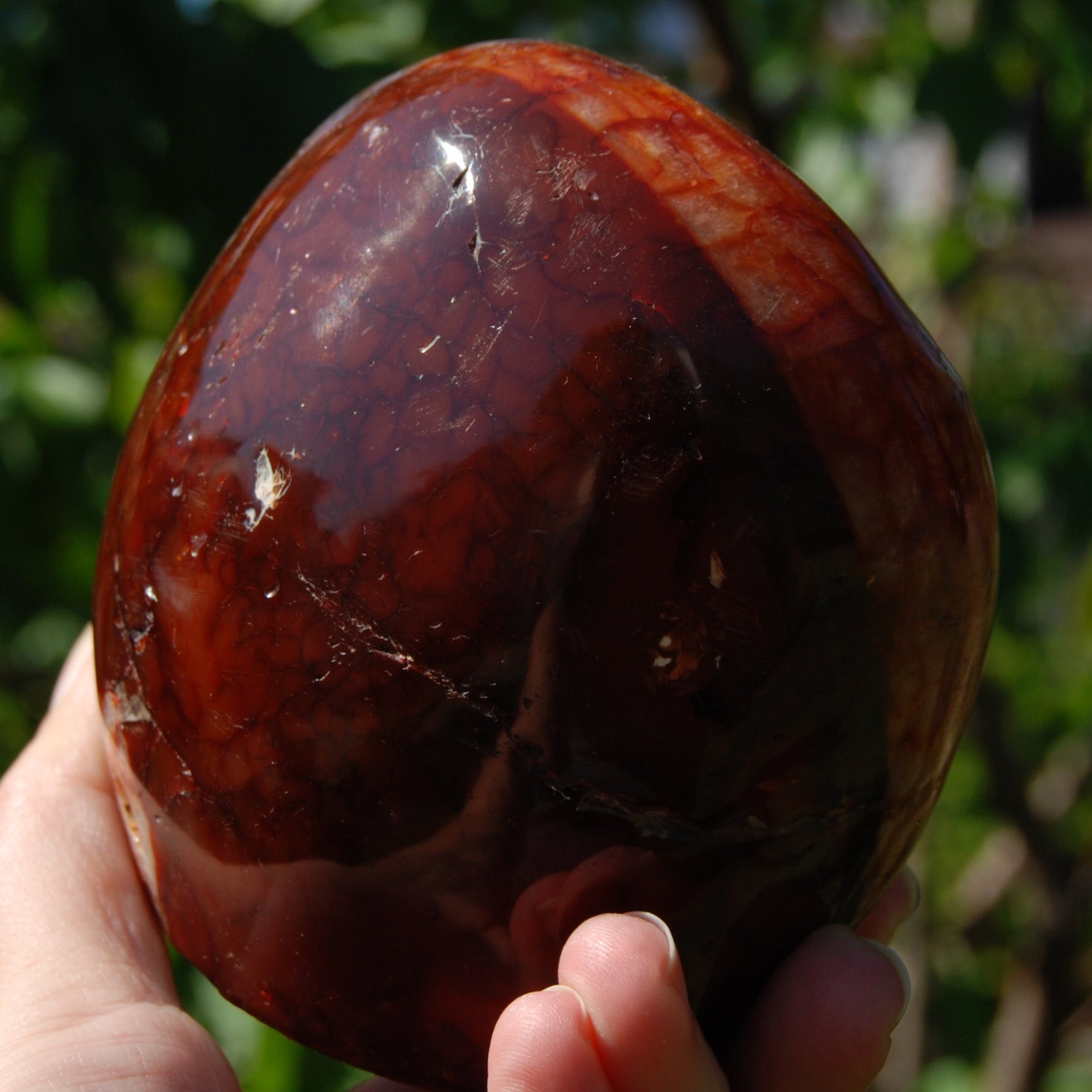 XL Red Carnelian Crystal Freeform Tower