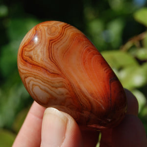 Red Banded Agate Crystal Palm Stone, Sardonyx