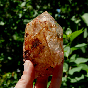 Golden Rutile Quartz Crystal Polished Generator Point