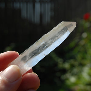 Cosmic Lemurian Seed Quartz Crystal Laser Starbrary