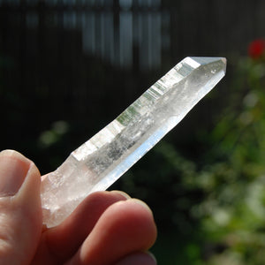 Cosmic Lemurian Seed Quartz Crystal Laser Starbrary