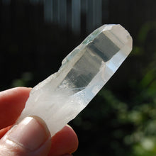 Load image into Gallery viewer, Record Keeper Lemurian Seed Quartz Crystal Starbrary Yin Yang Chisel
