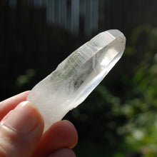 Load image into Gallery viewer, Record Keeper Lemurian Seed Quartz Crystal Starbrary Yin Yang Chisel
