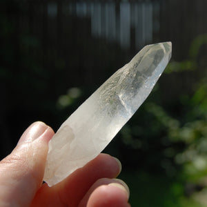 Record Keeper Lemurian Seed Quartz Crystal Starbrary Yin Yang Chisel