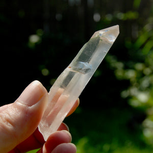 Inner Child Lemurian Seed Quartz Crystal Starbrary