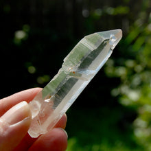 Load image into Gallery viewer, Inner Child Lemurian Seed Quartz Crystal Starbrary
