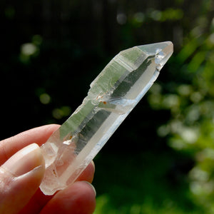 Inner Child Lemurian Seed Quartz Crystal Starbrary