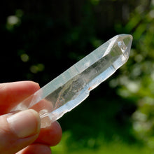 Load image into Gallery viewer, Inner Child Lemurian Seed Quartz Crystal Starbrary
