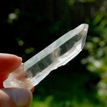 Load image into Gallery viewer, Inner Child Lemurian Seed Quartz Crystal Starbrary
