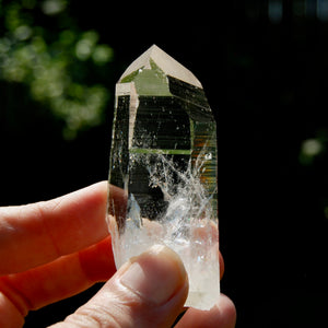 Dow Channeler Blades of Light Lemurian Crystal, Optical Quartz, Colombia