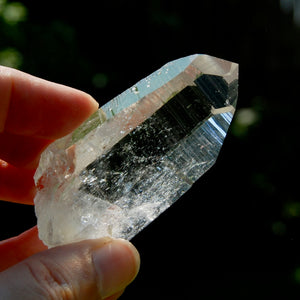 Dow Channeler Blades of Light Lemurian Crystal, Optical Quartz, Colombia