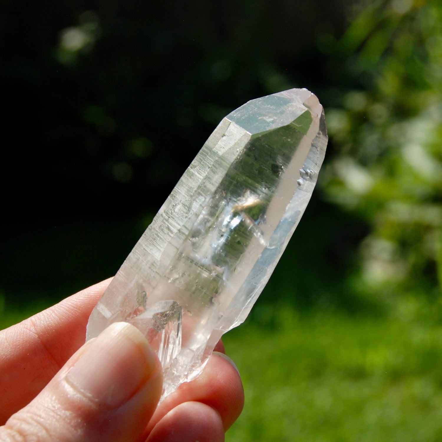 Chisel Lemurian Seed Quartz Crystal Starbrary, Brazil
