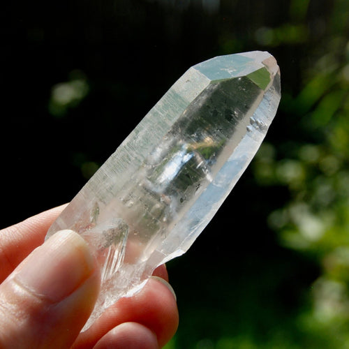 Chisel Lemurian Seed Quartz Crystal Starbrary, Brazil