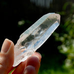 Chisel Lemurian Seed Quartz Crystal Starbrary, Brazil