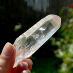 Chisel Lemurian Seed Quartz Crystal Starbrary, Brazil