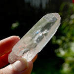 Chisel Lemurian Seed Quartz Crystal Starbrary, Brazil
