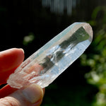 Chisel Lemurian Seed Quartz Crystal Starbrary, Brazil