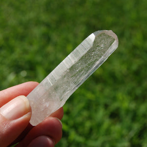 Grounding Lemurian Seed Quartz Crystal Starbrary, Brazil