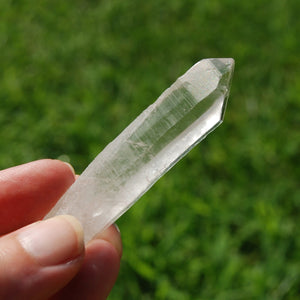 Grounding Lemurian Seed Quartz Crystal Starbrary, Brazil