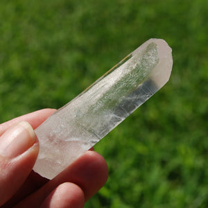 Grounding Lemurian Seed Quartz Crystal Starbrary, Brazil