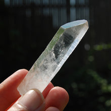 Load image into Gallery viewer, Grounding Lemurian Seed Quartz Crystal Starbrary, Brazil
