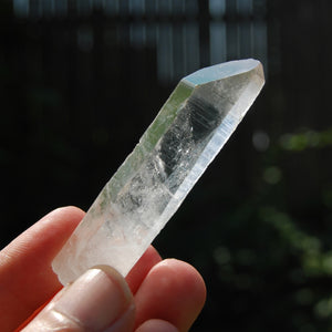 Grounding Lemurian Seed Quartz Crystal Starbrary, Brazil