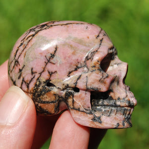 Rhodonite Carved Crystal Skull