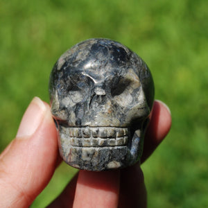 Blue Opal Llanite Carved Crystal Skull, Que Sera Crystal Skull Carving