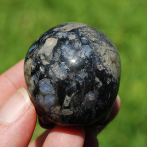 Blue Opal Llanite Carved Crystal Skull, Que Sera Crystal Skull Carving