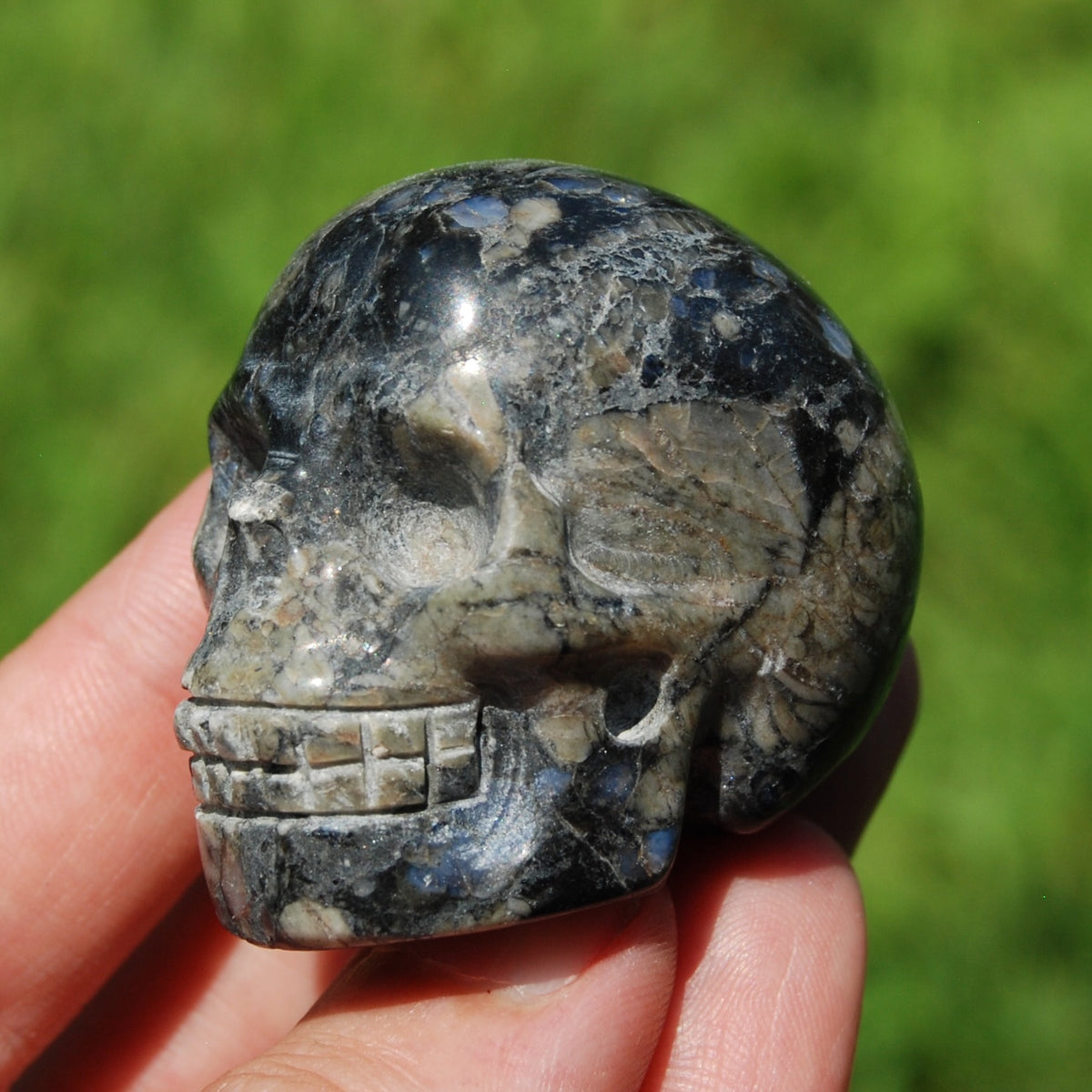 Blue Opal Llanite Que Sera Crystal Skull