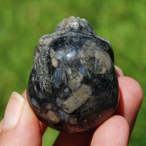 Blue Opal Llanite Carved Crystal Skull, Que Sera Crystal Skull Carving