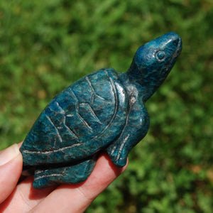 Large Apatite Carved Crystal Turtle