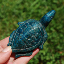 Load image into Gallery viewer, Large Apatite Carved Crystal Turtle
