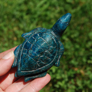 Large Apatite Carved Crystal Turtle