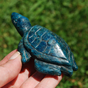 Large Apatite Carved Crystal Turtle