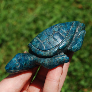 Large Apatite Carved Crystal Turtle