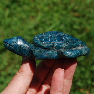 Large Apatite Carved Crystal Turtle